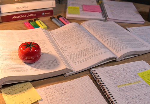 Come riuscire a studiare salvaguardando voti e salute mentale