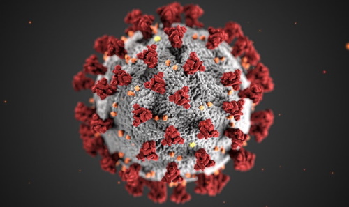 immagine del coronavirus